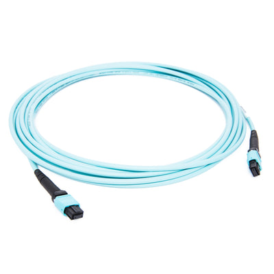 TJ-MP24-MP24-5M